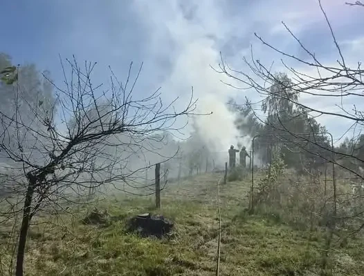 Pożar suchych traw w Brzozowicy Dużej — interweniowały trzy jednostki straży pożarnej