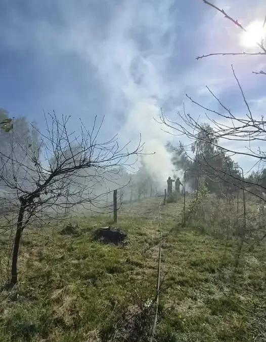 Pożar suchych traw w Brzozowicy Dużej — interweniowały trzy jednostki straży pożarnej