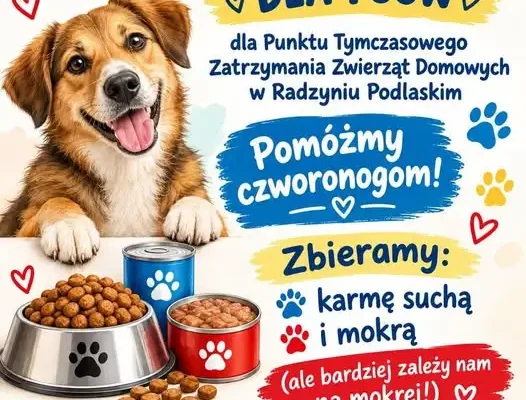 Szkoła Podstawowa nr 2 w Radzyniu Podlaskim organizuje zbiórkę karmy dla psów