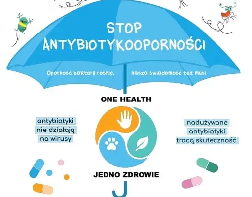 Europejski Dzień Wiedzy o Antybiotykach – dlaczego warto mówić o antybiotykooporności